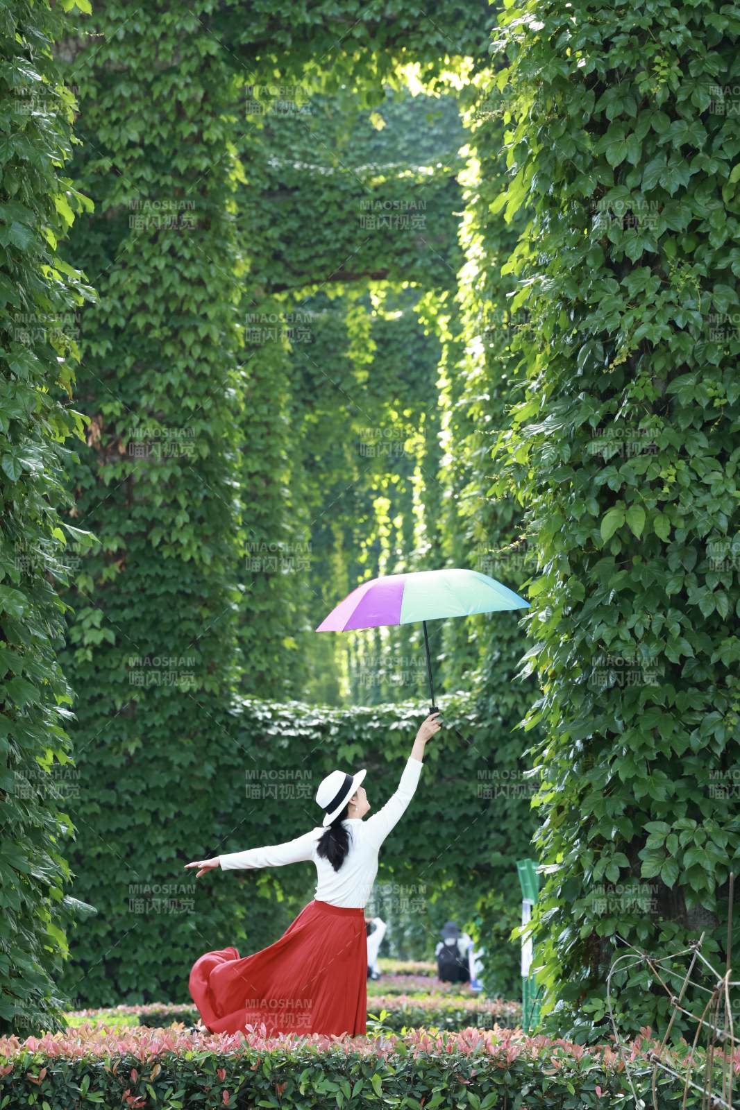 绿廊红裙伞舞春图片