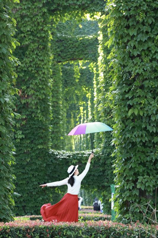 绿廊红裙伞舞春图片