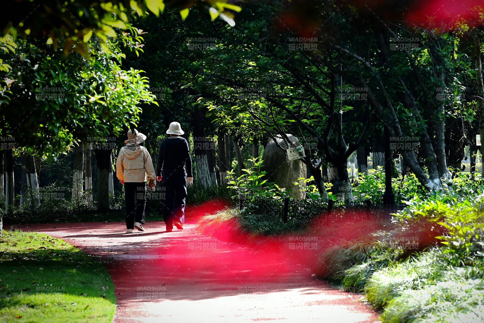 林荫小径 两人缓行图片