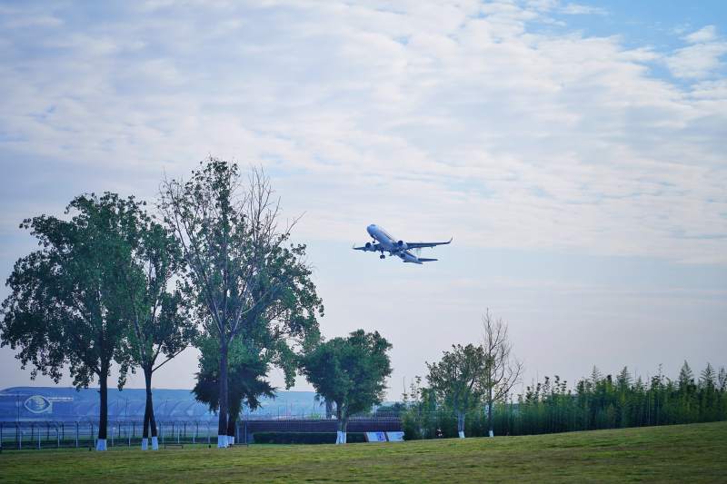 飞机掠过绿树蓝天图片