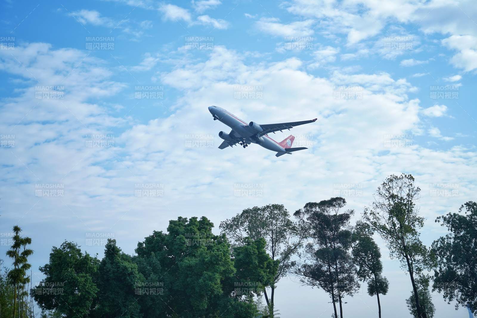 飞机掠过树梢蓝天图片