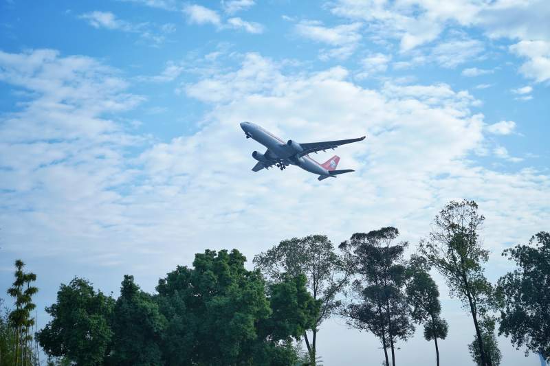 飞机掠过树梢蓝天图片