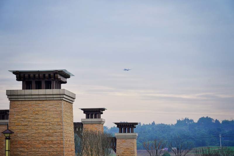 古塔映天 飞鸟掠云间图片