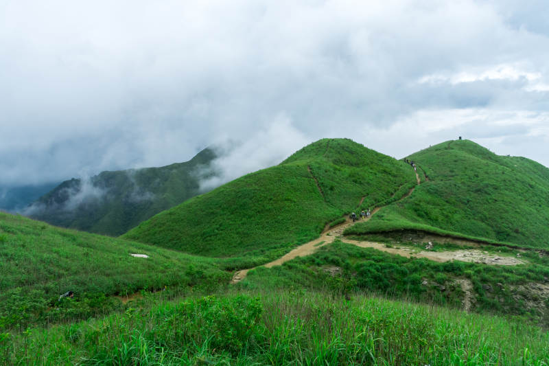 云雾缭绕绿山径图片