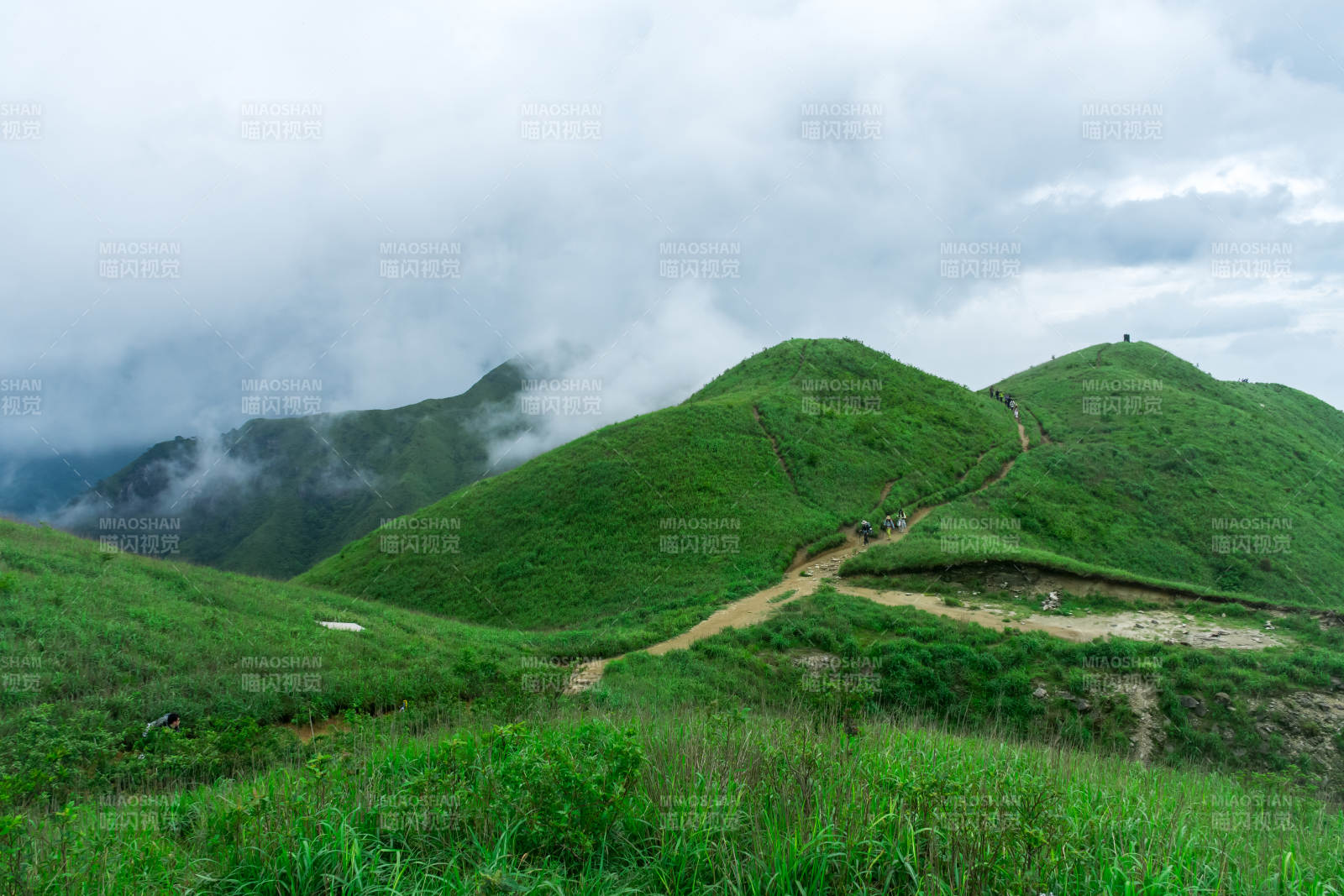 云雾缭绕绿山径图片