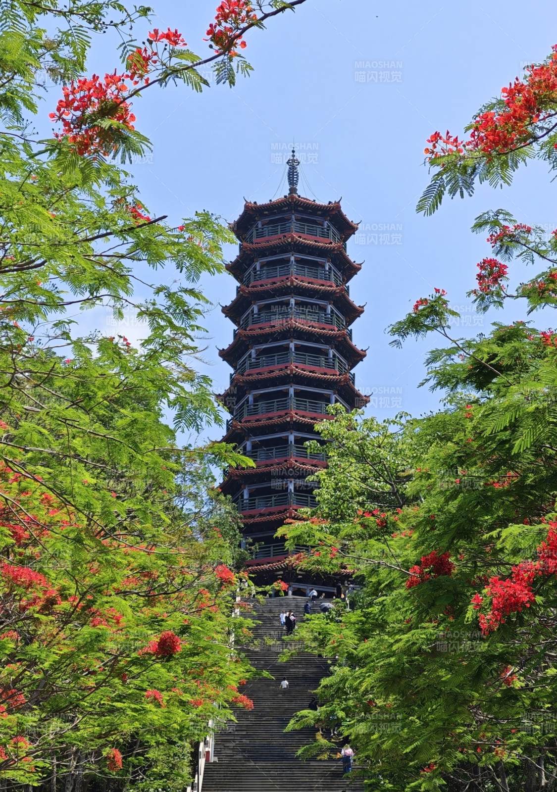 红花绿树映古塔图片
