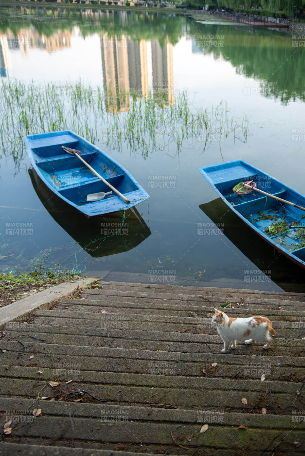 湖畔蓝舟 猫步石阶静景图片
