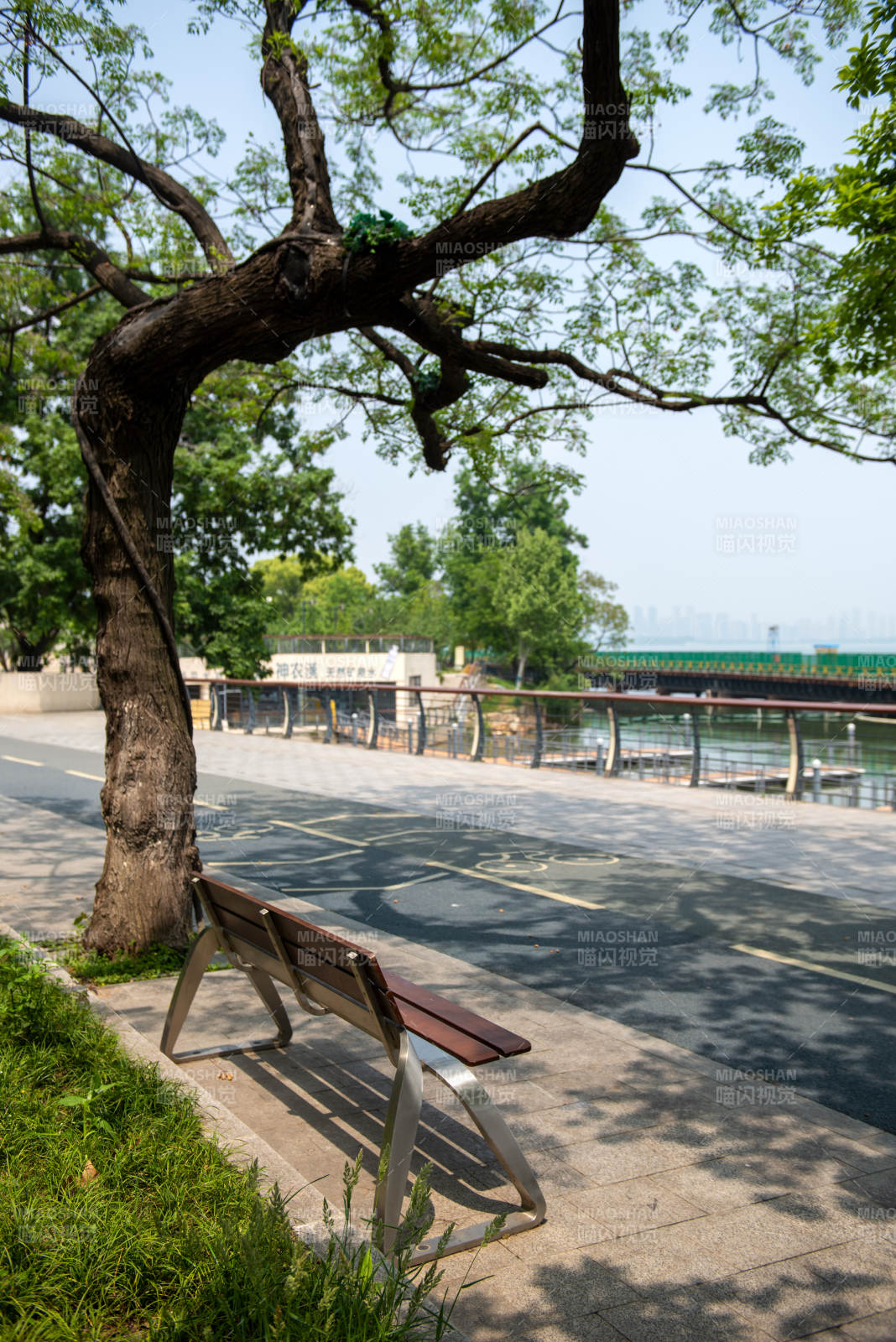 树影长椅 河畔静景图片