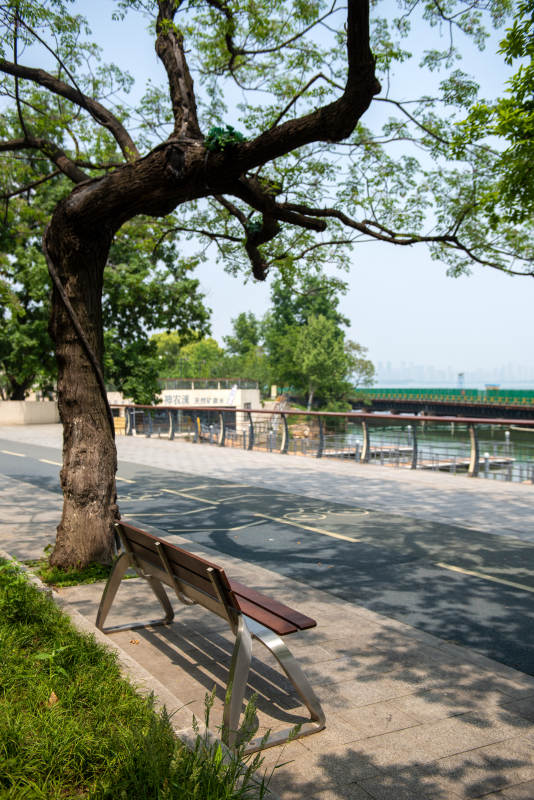 树影长椅 河畔静景图片
