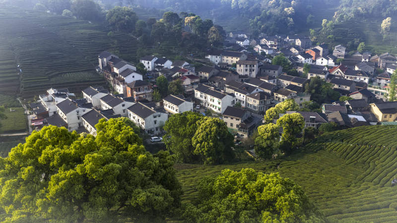 茶山古村晨雾缭绕图片