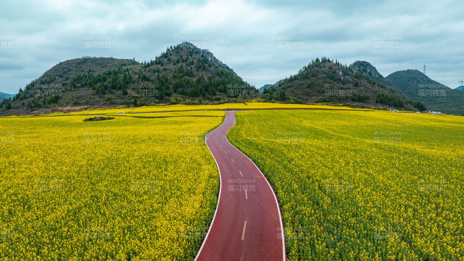 花海红路 山峦环绕图片