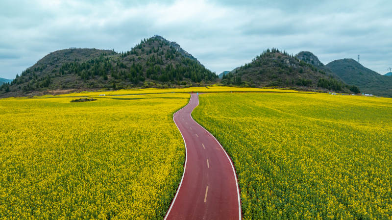 花海红路 山峦环绕图片
