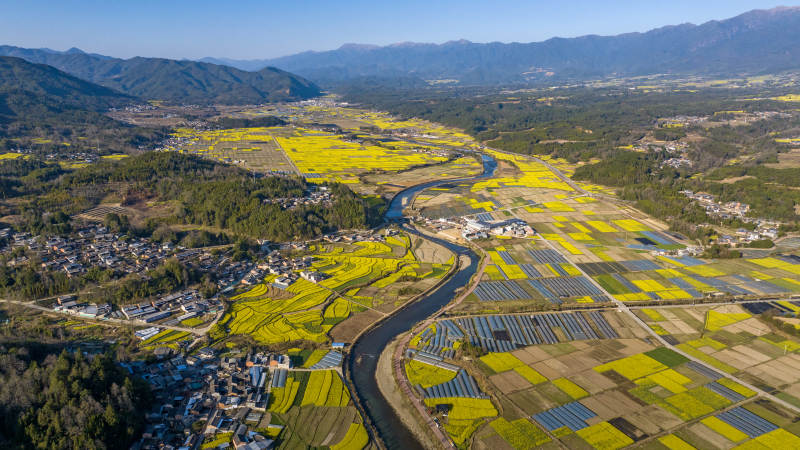 油菜花田绕村流 山河如画春正浓图片