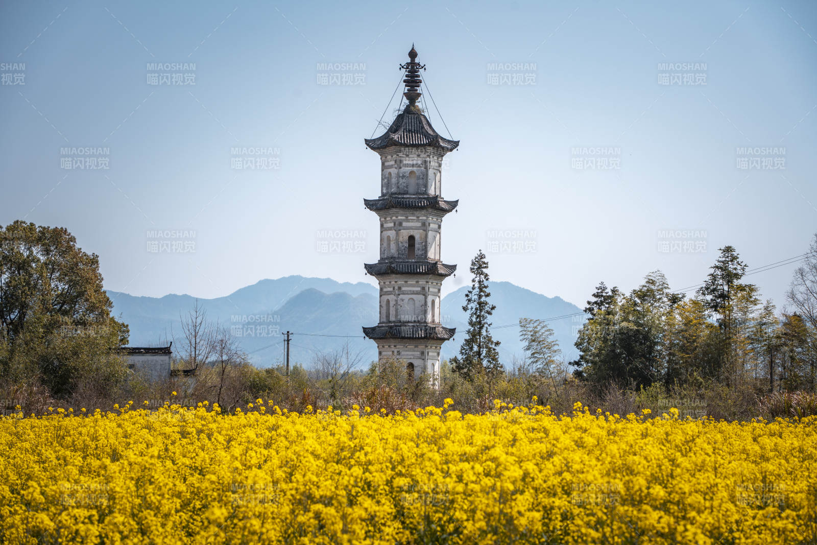 古塔映黄花 远山含黛色图片