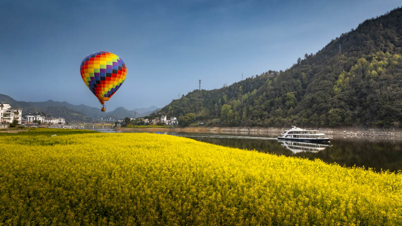 热气球飞越油菜花海图片