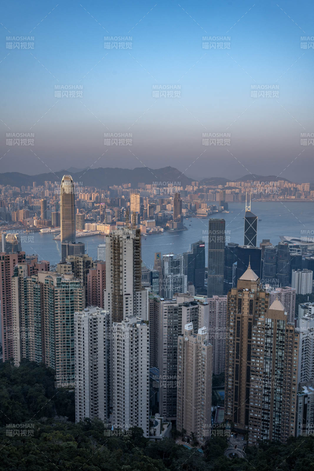 香港天际线 维港暮色美图片