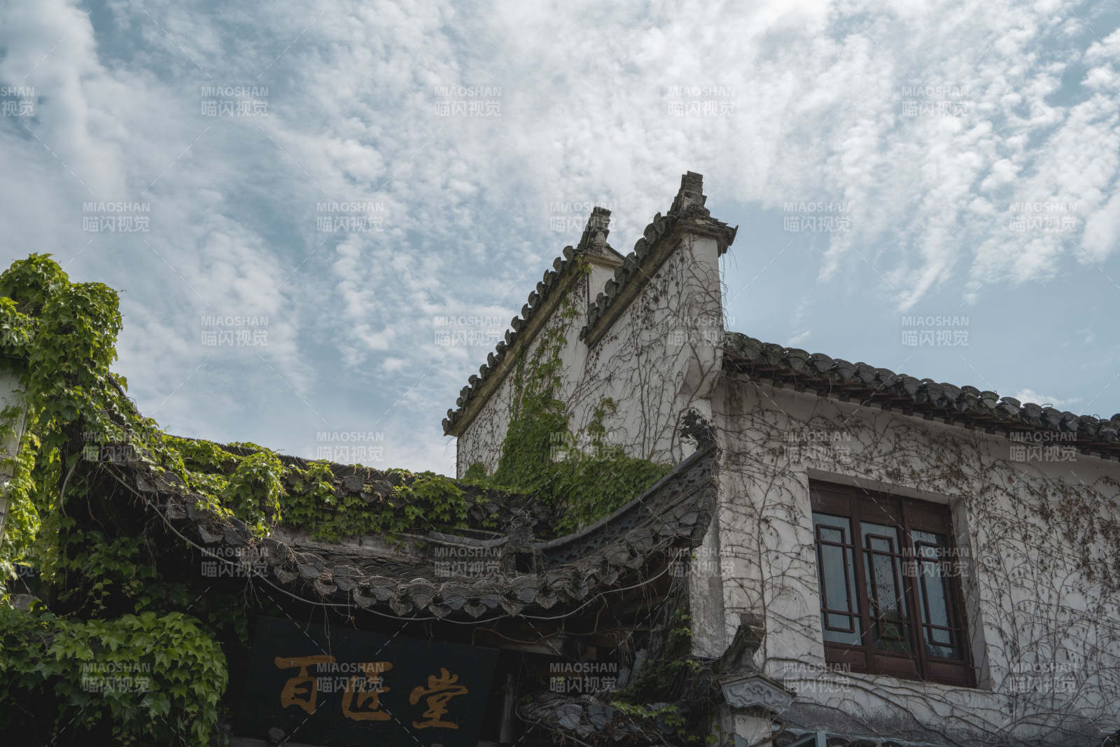 古墙藤蔓映蓝天图片