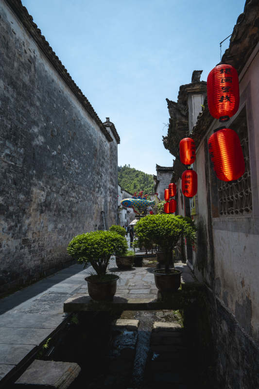 古巷红灯笼 青石流水静图片