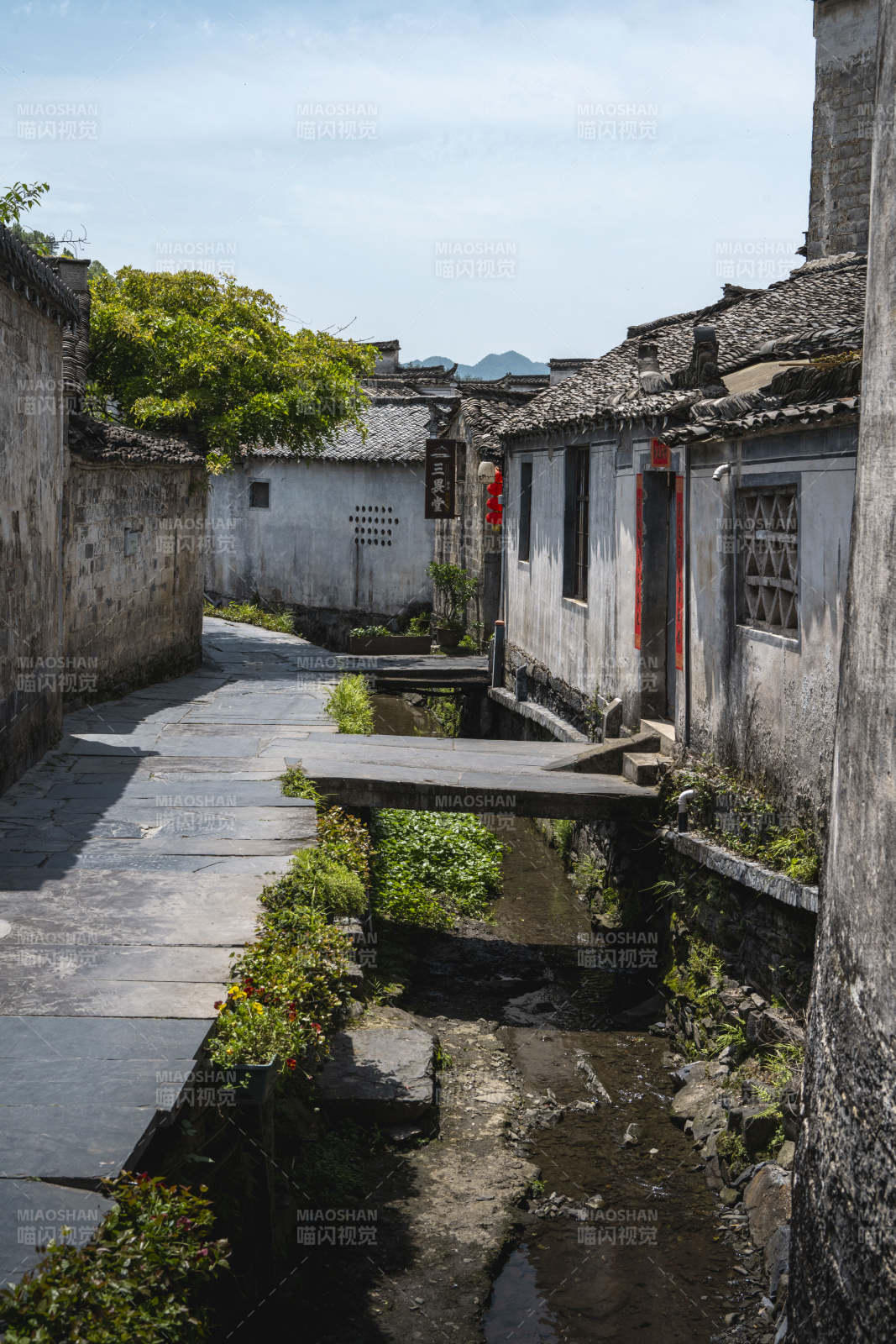 古巷流水 白墙黛瓦静美图片