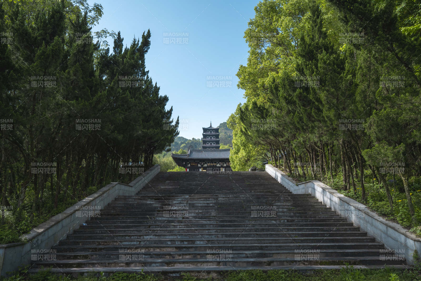林荫石阶通古塔图片