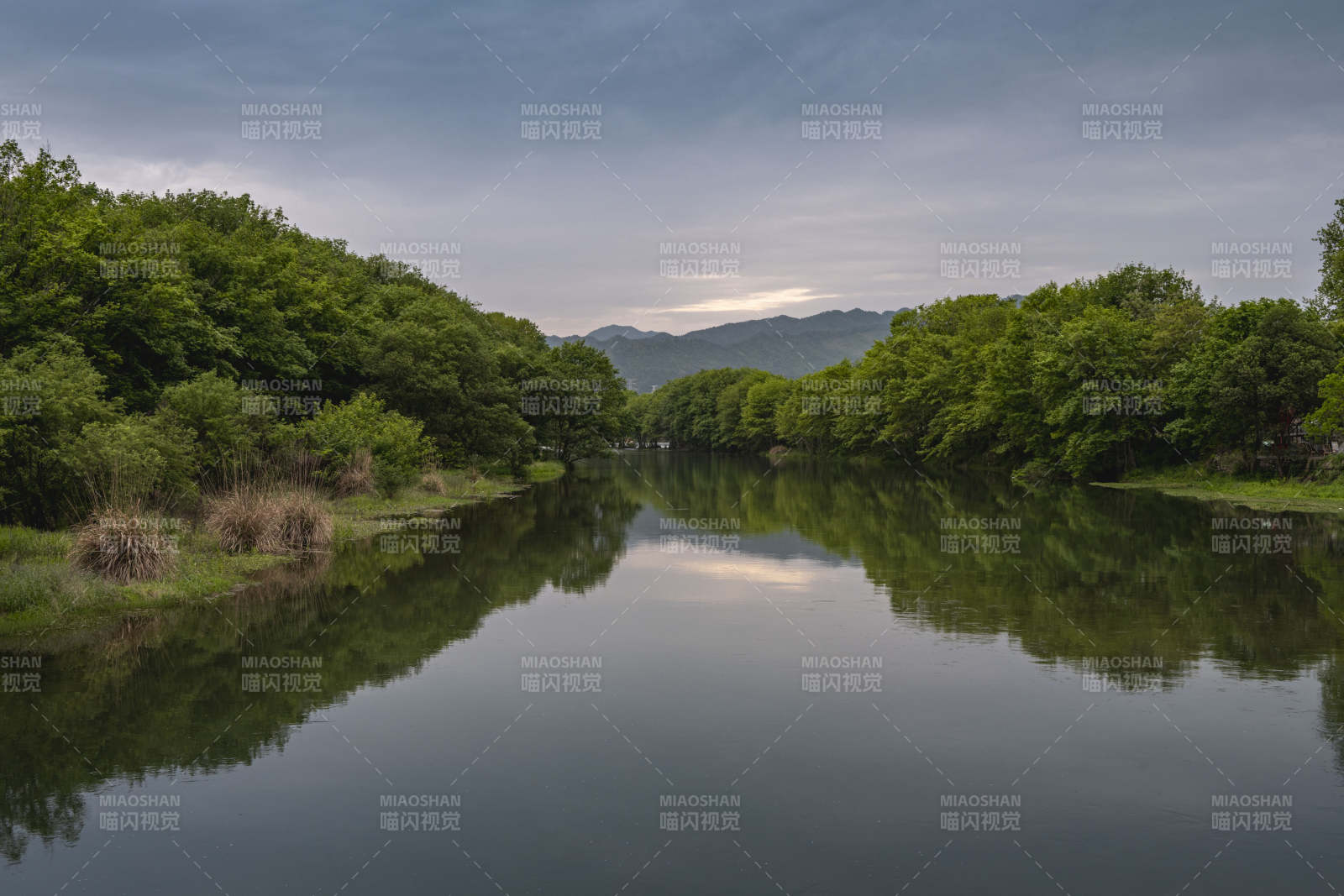 静湖映青山 绿树绕水间图片