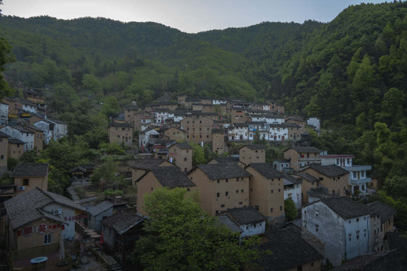 山间古村 黄墙黛瓦隐绿林图片
