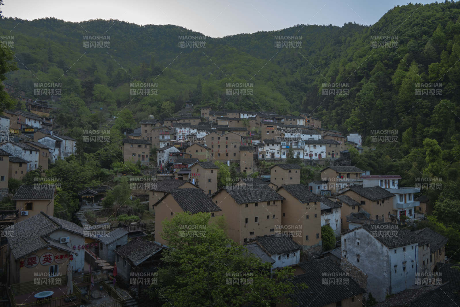 山间古村 黄墙黛瓦隐绿林图片
