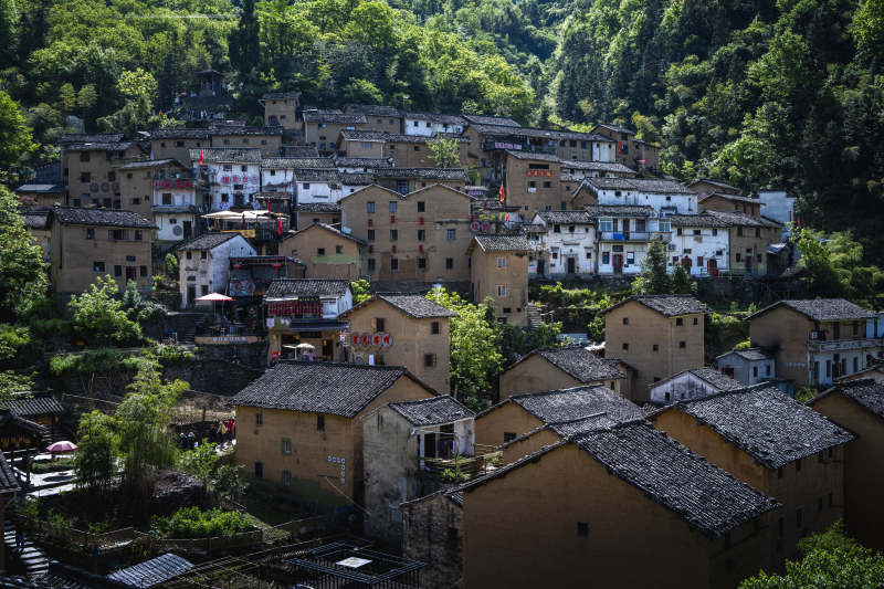 山间古村 青瓦黄墙隐绿林图片