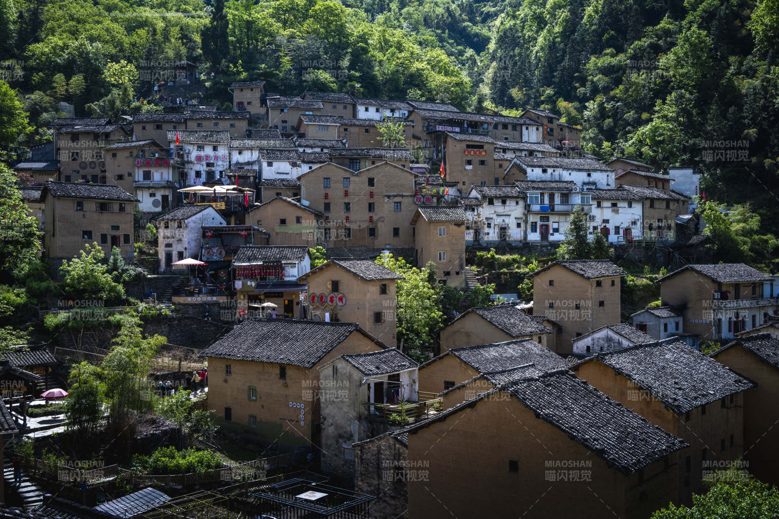 山间古村 青瓦黄墙隐绿林图片