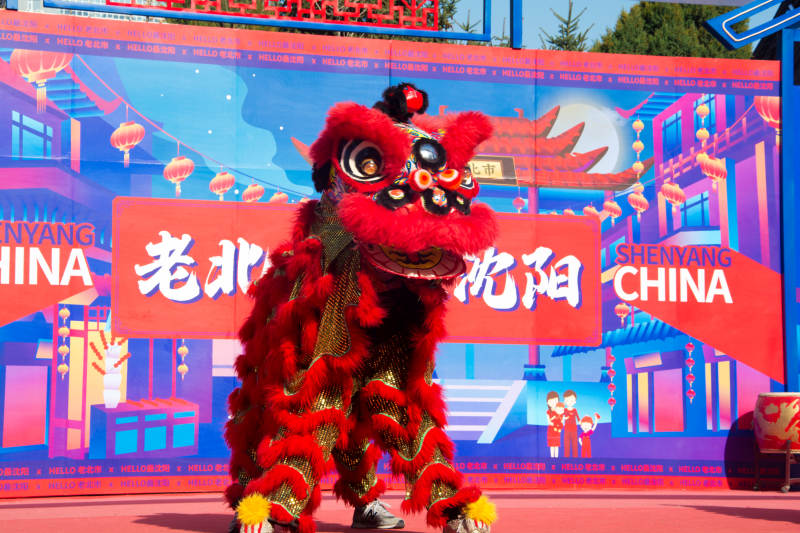 沈阳老北舞狮迎新春图片