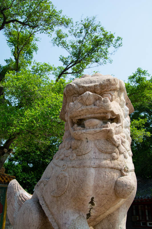 石狮镇宅 绿树环绕图片
