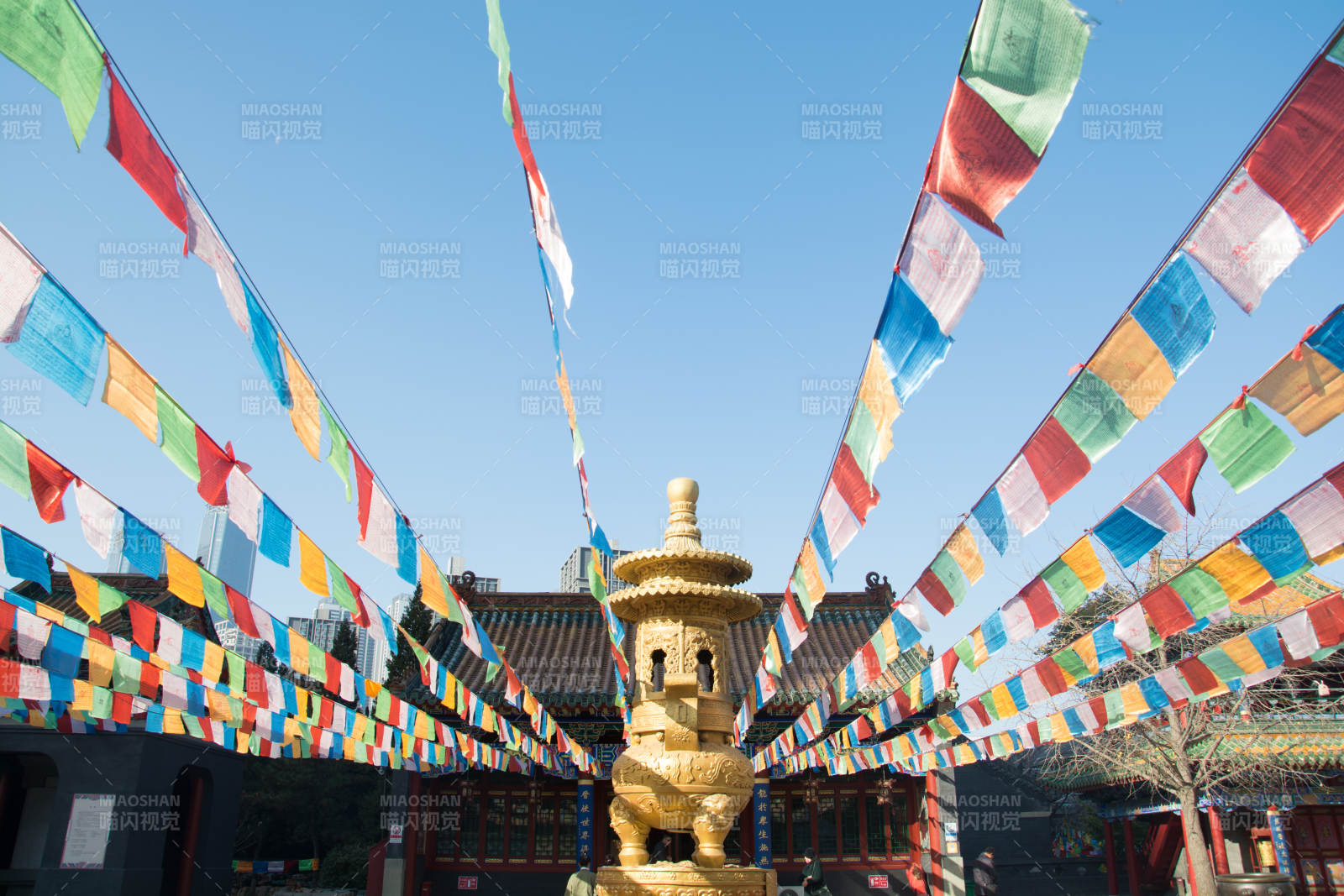 彩幡飞舞 金塔映蓝天图片