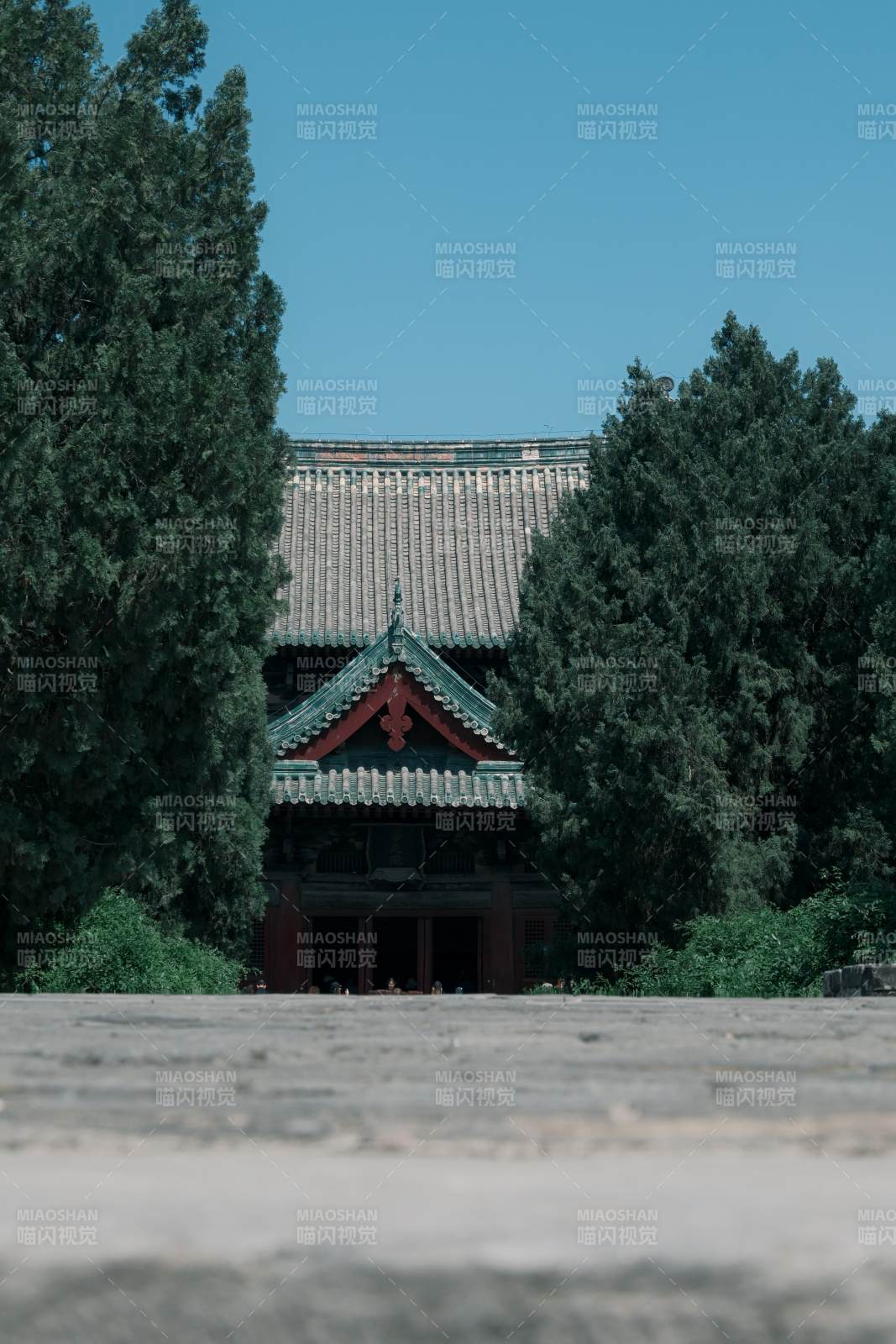 古建隐于翠柏间图片
