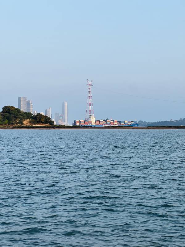 海港远眺 货轮与城市天际线图片