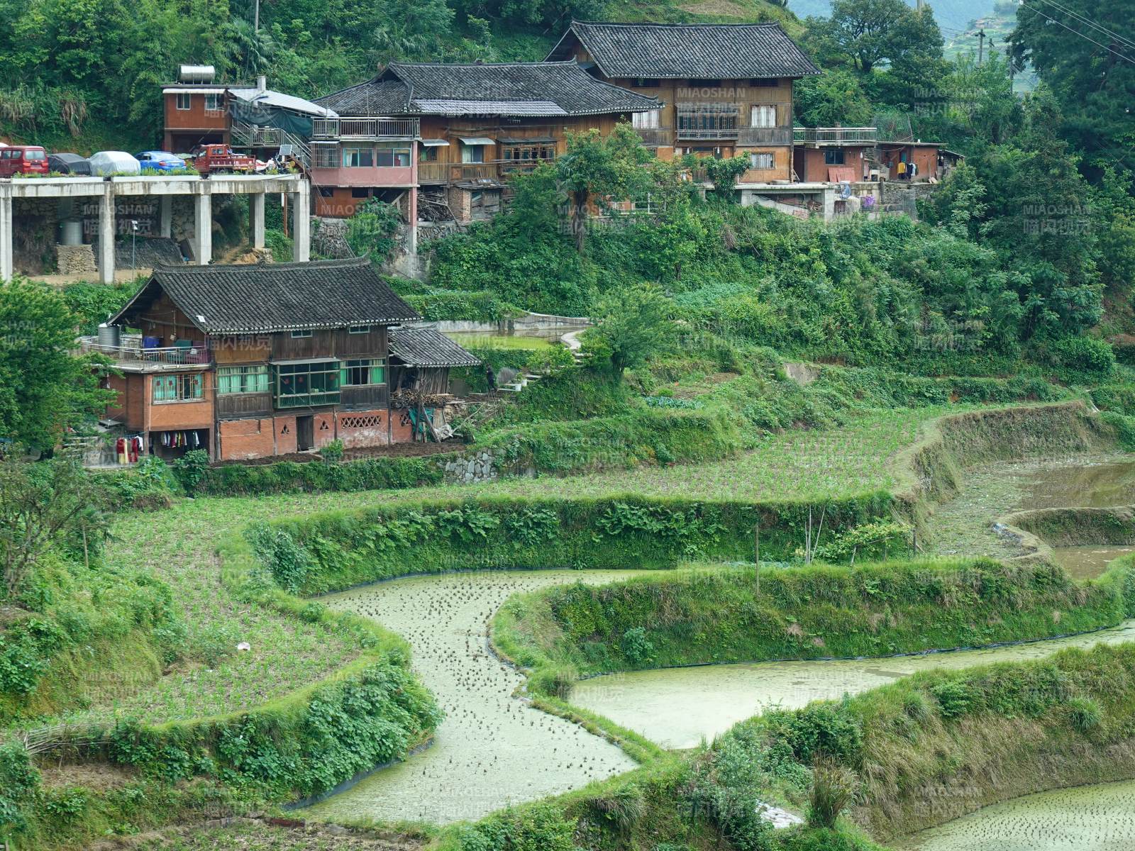 梯田环绕山间古村落图片