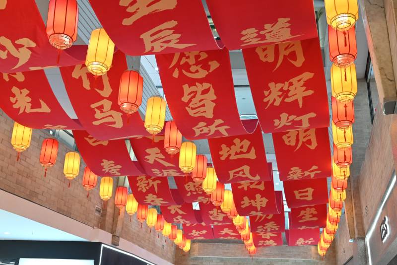红灯高挂迎新春图片