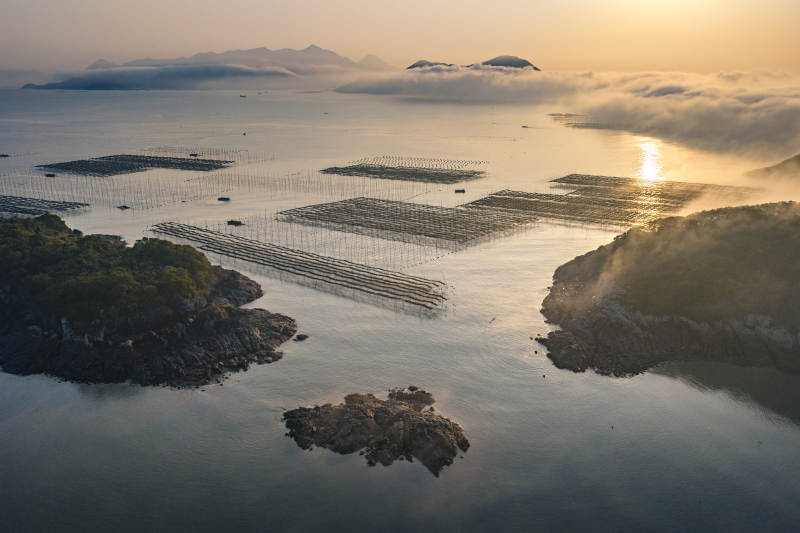 晨雾海田 日出如画图片