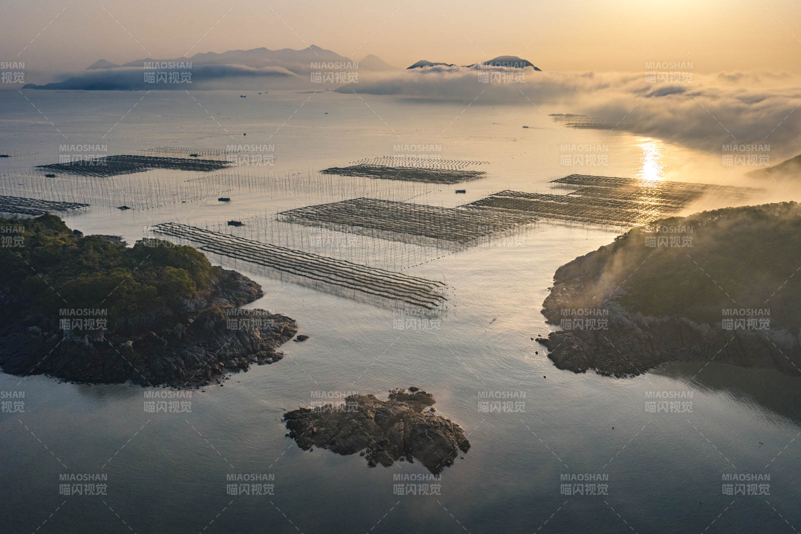 晨雾海田 日出如画图片