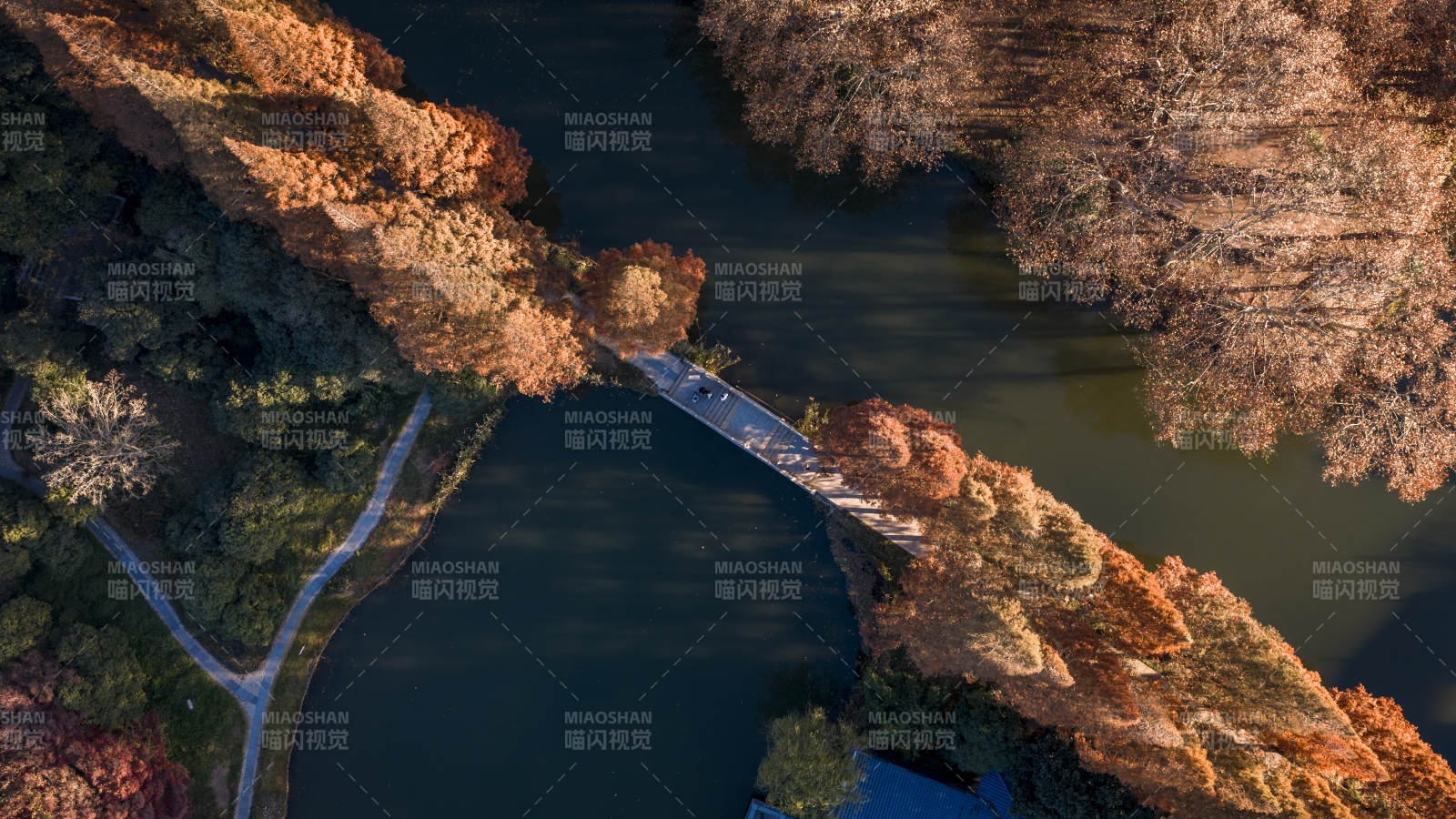 秋林环水 桥影如画图片