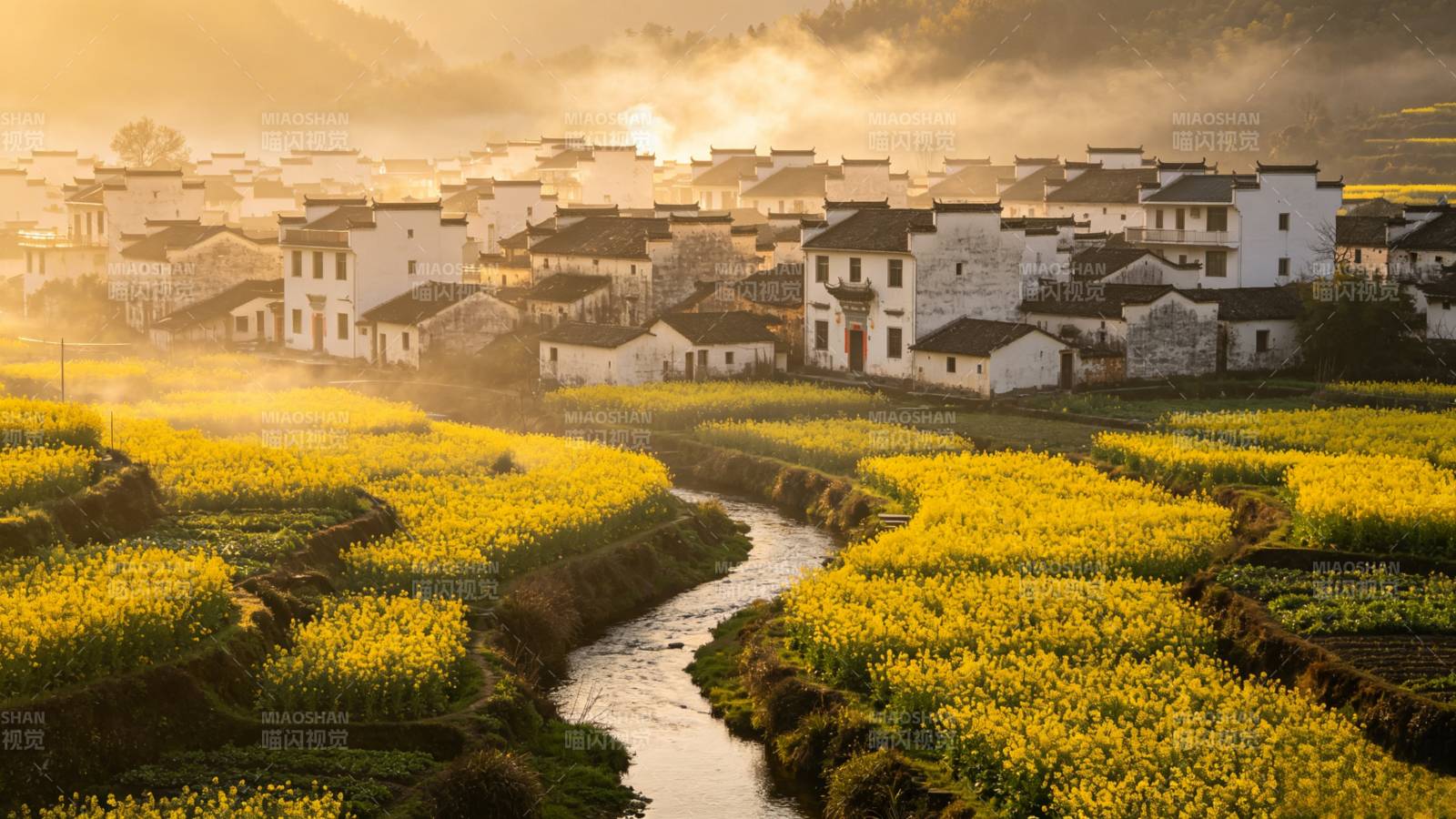 油菜花田映古村晨光图片