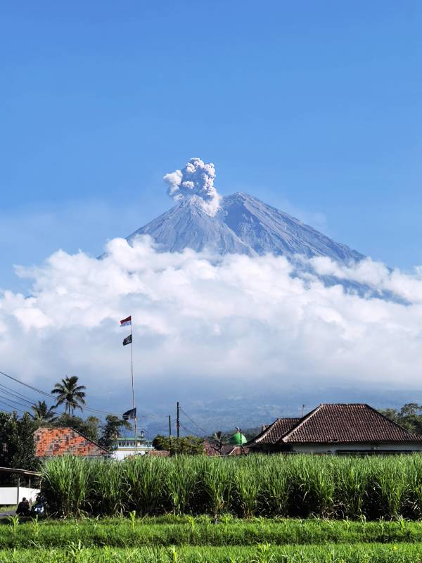 印尼火山喷发 田园静好图片