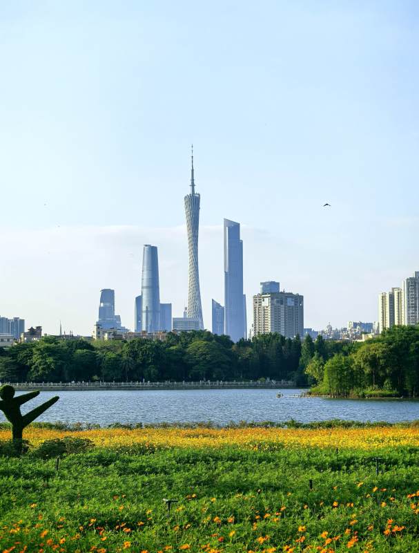 广州塔映花海湖光图片