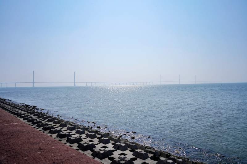 跨海大桥遥望图片