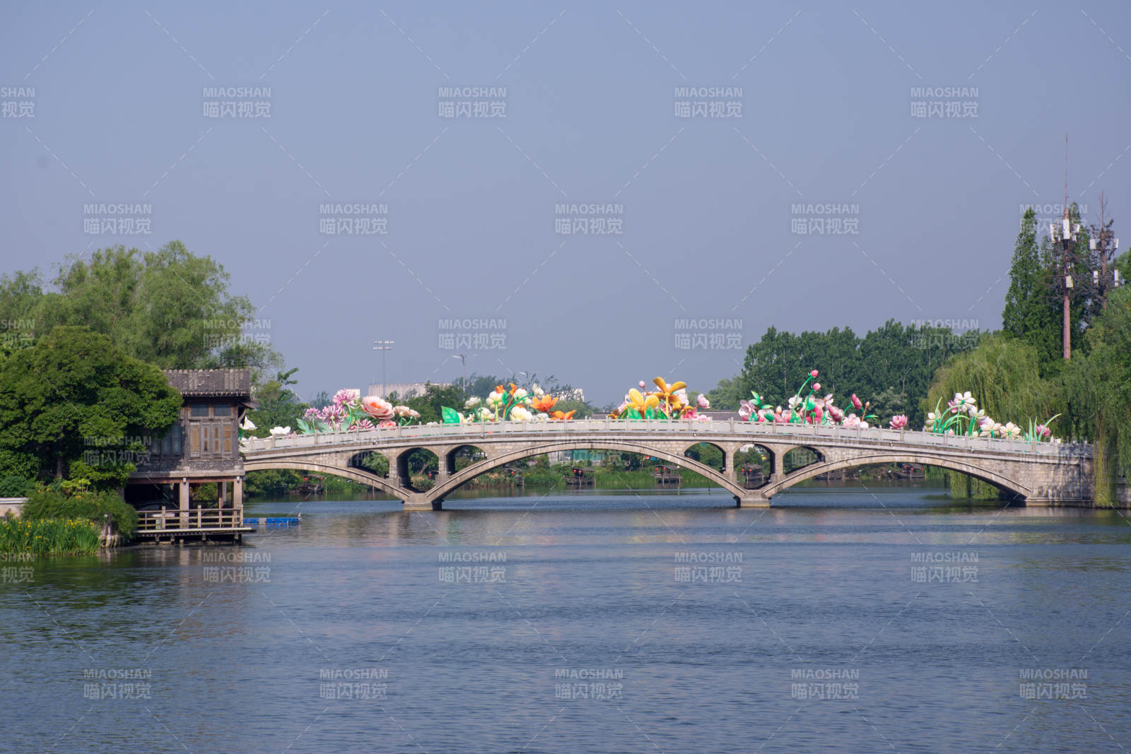 台儿庄古城花桥映水 春色满园图片