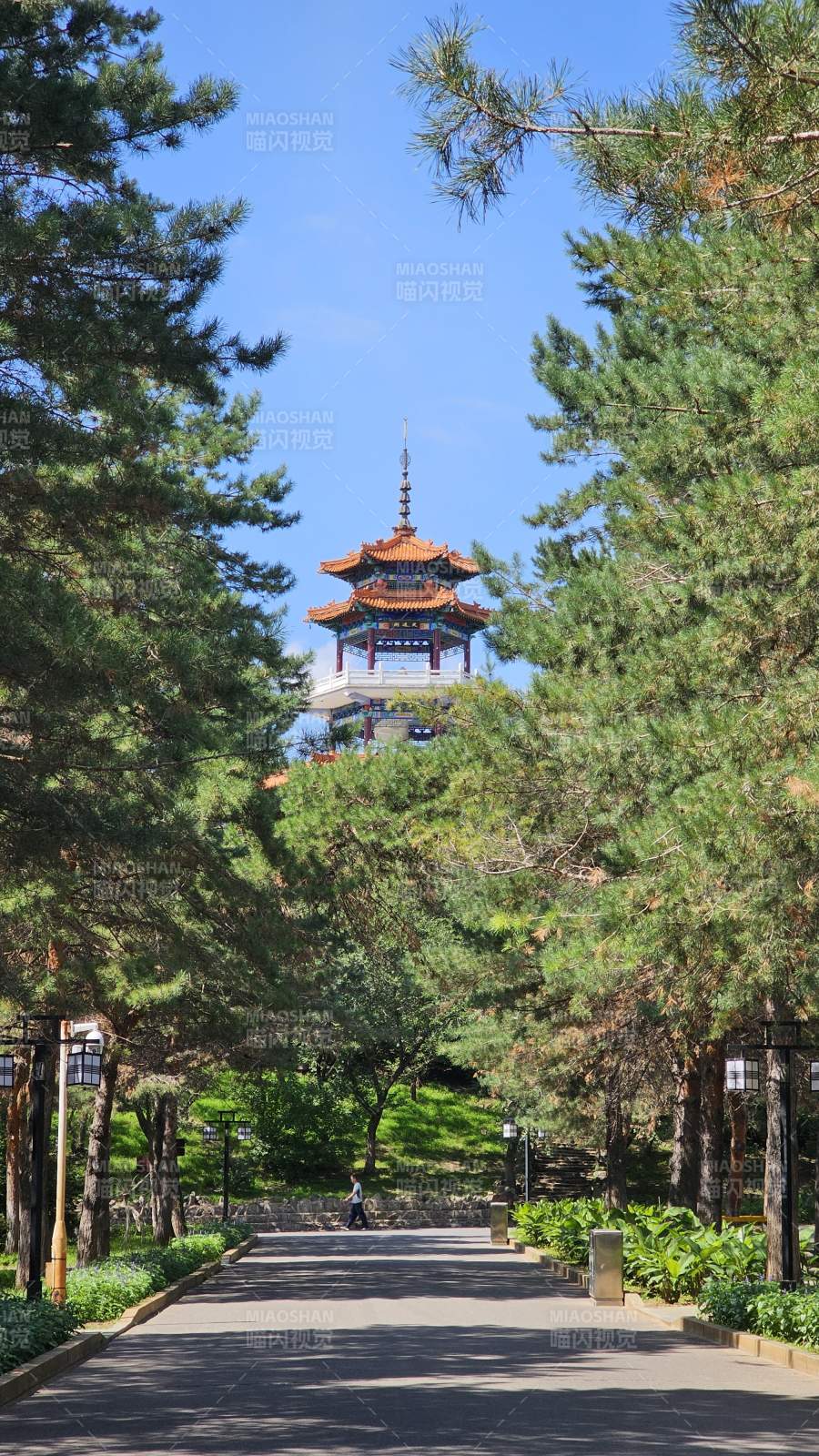 公园松林掩映塔楼图片