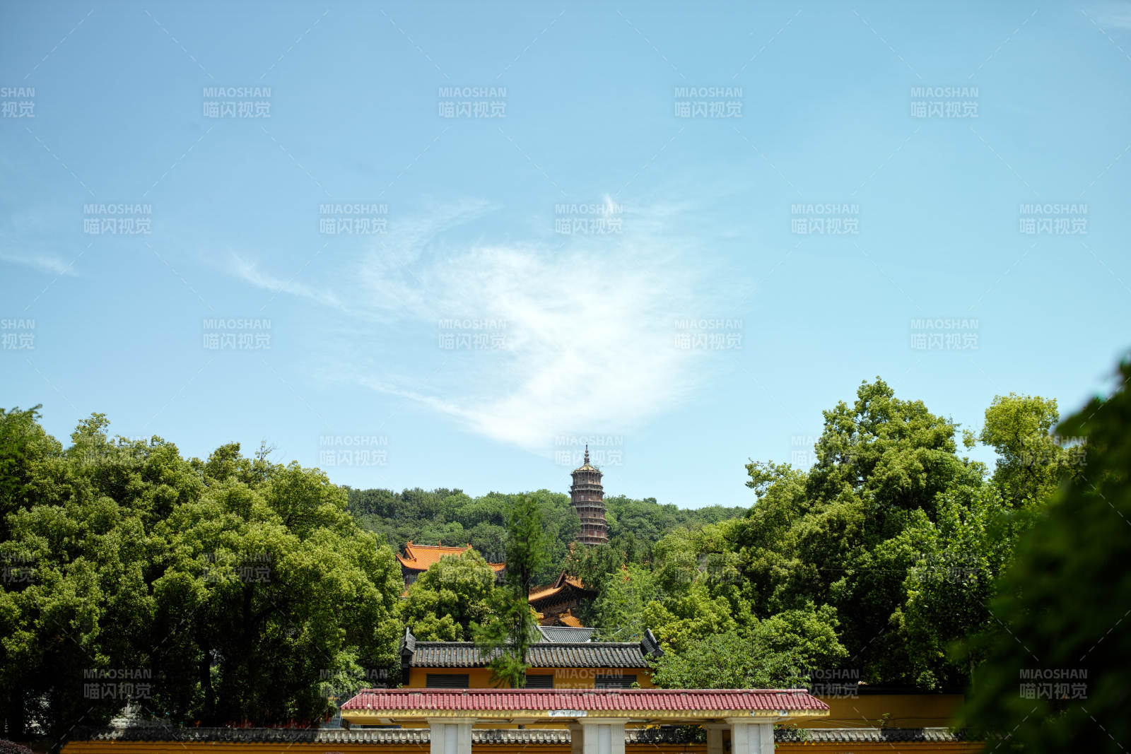 洪山宝塔隐绿树图片
