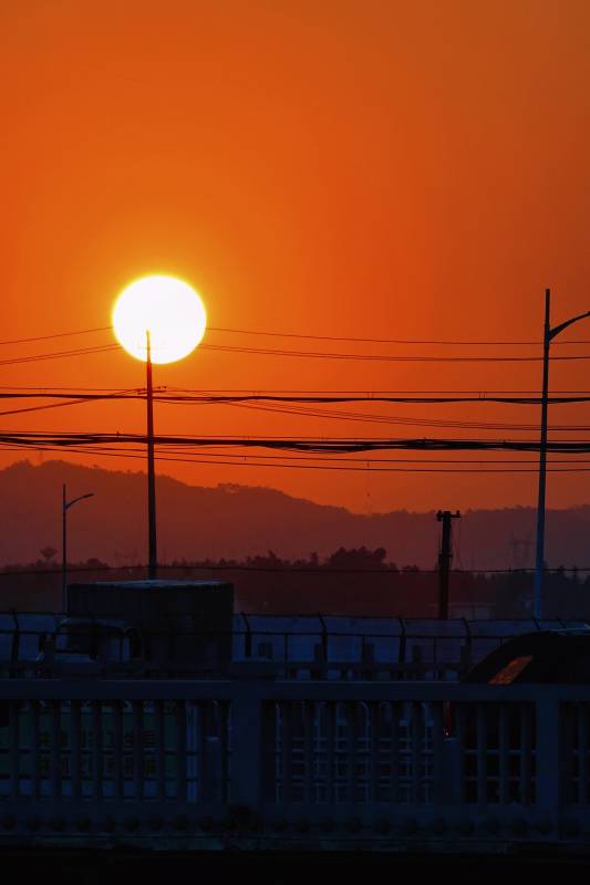 夕阳熔金 电线剪影如画图片