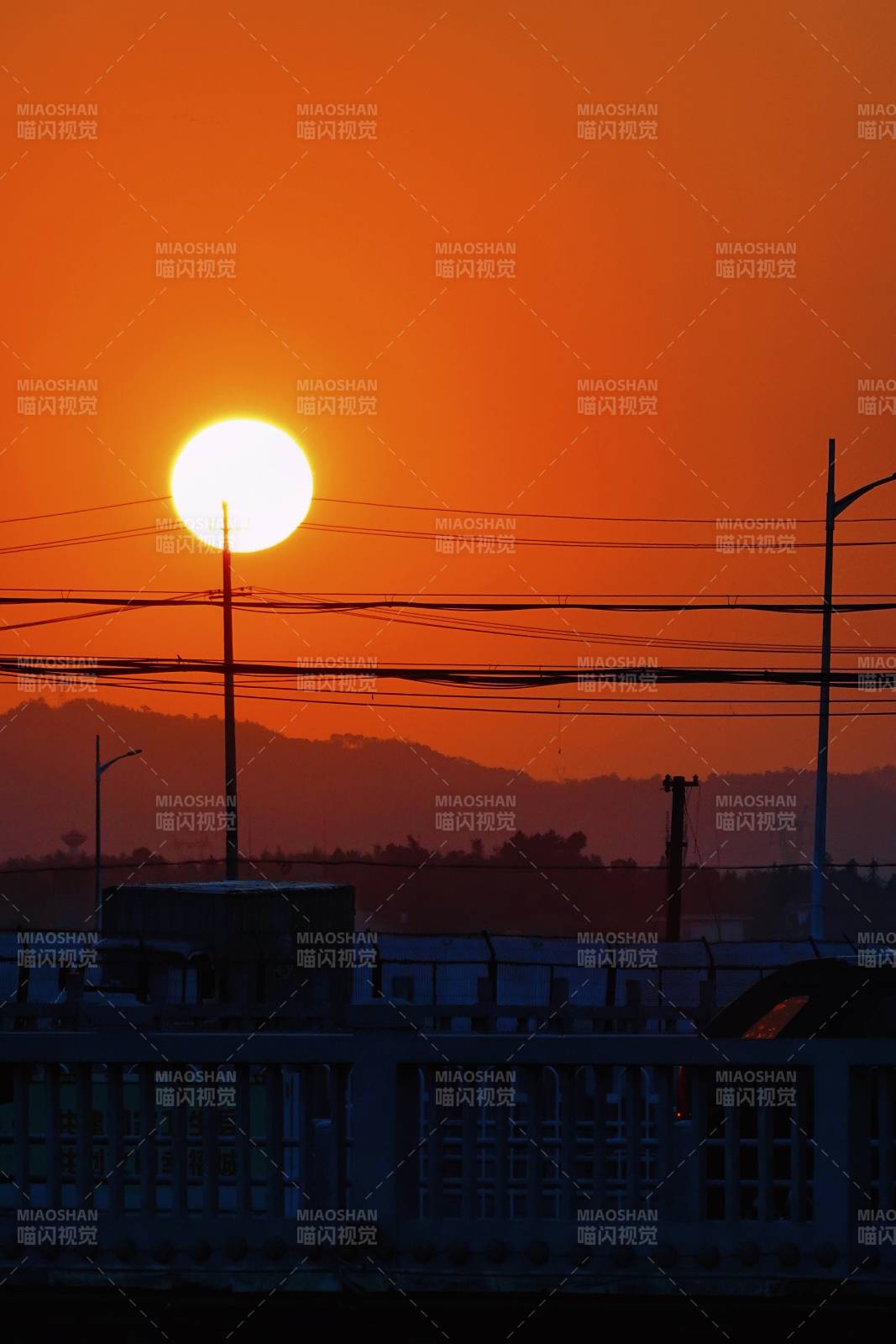 夕阳熔金 电线剪影如画图片