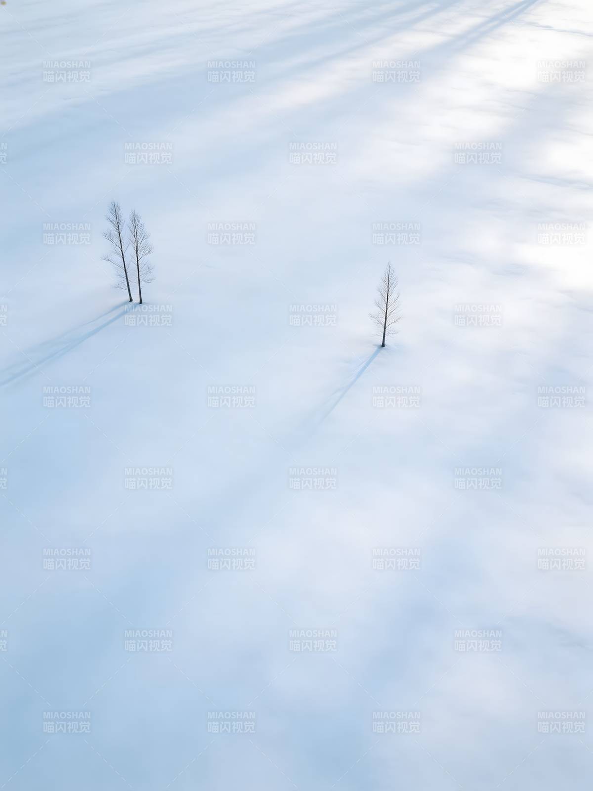 雪原孤树影图片
