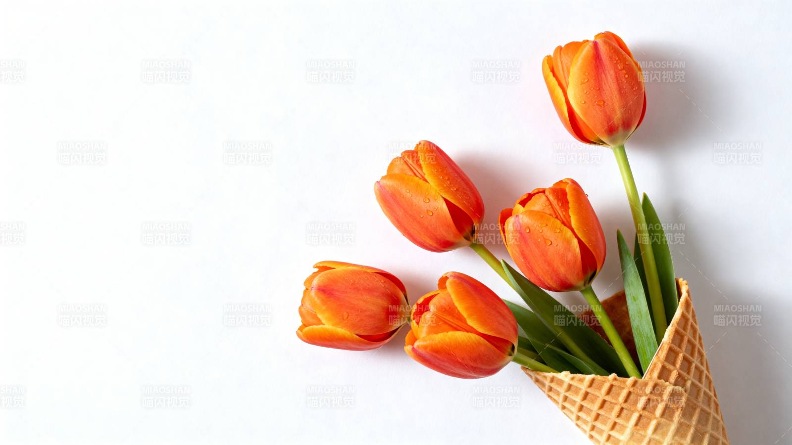 tulip ice cream cone图片